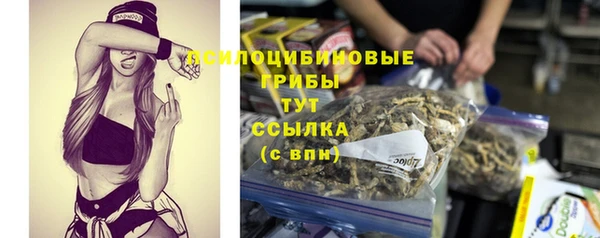 стафф Армянск
