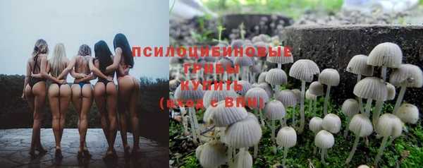 ECSTASY Аркадак