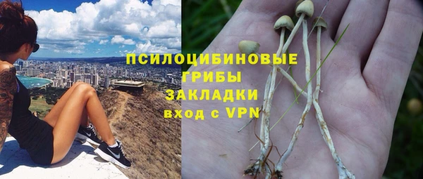 спиды Арсеньев